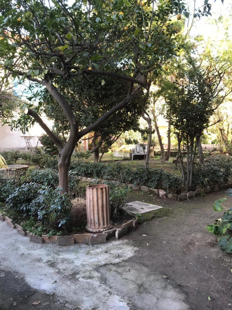 Il Giardino Di Vico Neve Bed & Breakfast Naples Luaran gambar