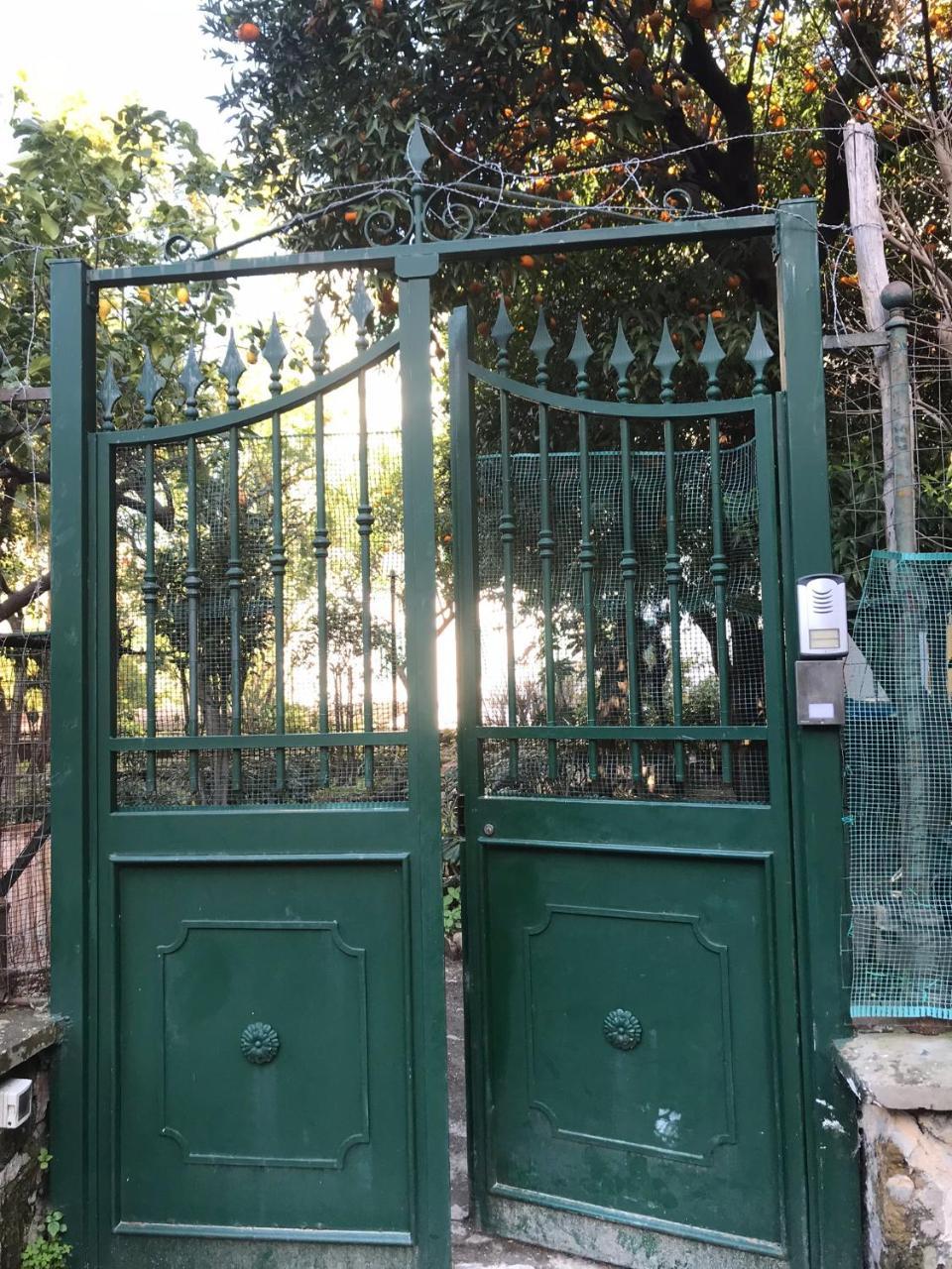 Il Giardino Di Vico Neve Bed & Breakfast Naples Luaran gambar