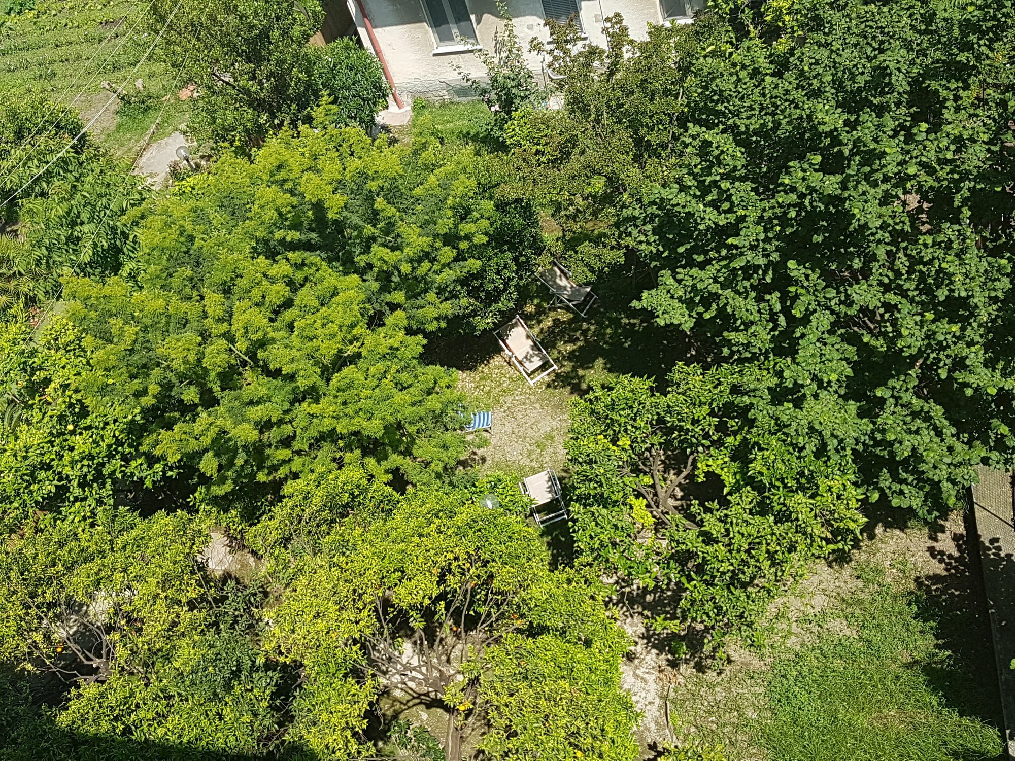 Il Giardino Di Vico Neve Bed & Breakfast Naples Luaran gambar